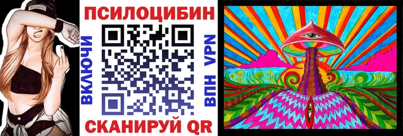 даркнет сайт  Михайловка  Псилоцибиновые грибы Cubensis 